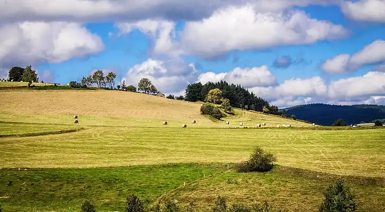Sommerhus i Erlabrunn