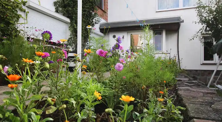Apartment in Sternberger Burg