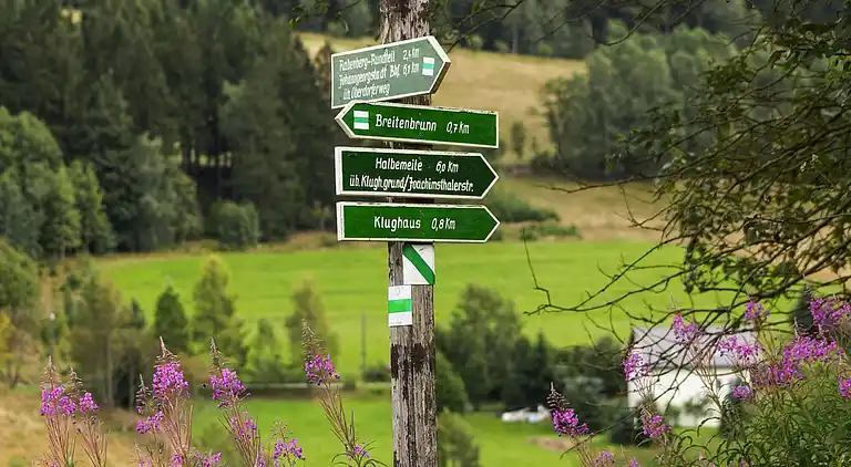 Sommerhus i Erlabrunn