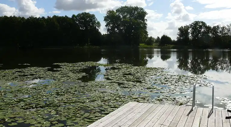 Holiday home in Sternberger Burg