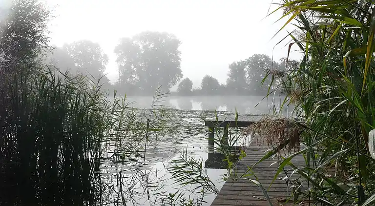 Holiday home in Sternberger Burg
