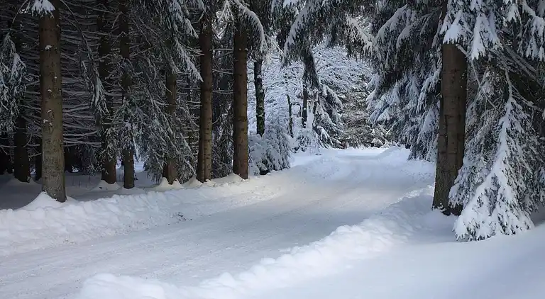 Sommerhus i Erlabrunn