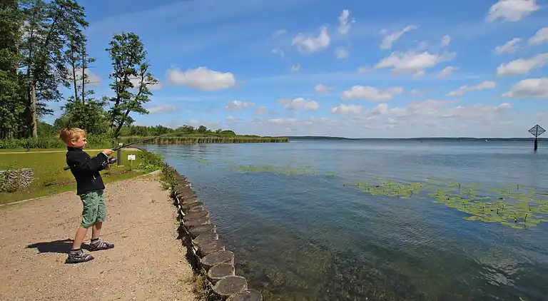 Ferienhaus in Buchberg