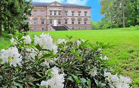 Schloss in Tressow
