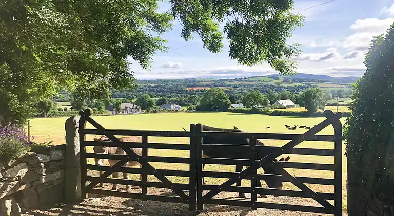 Sommerhus i Redcross