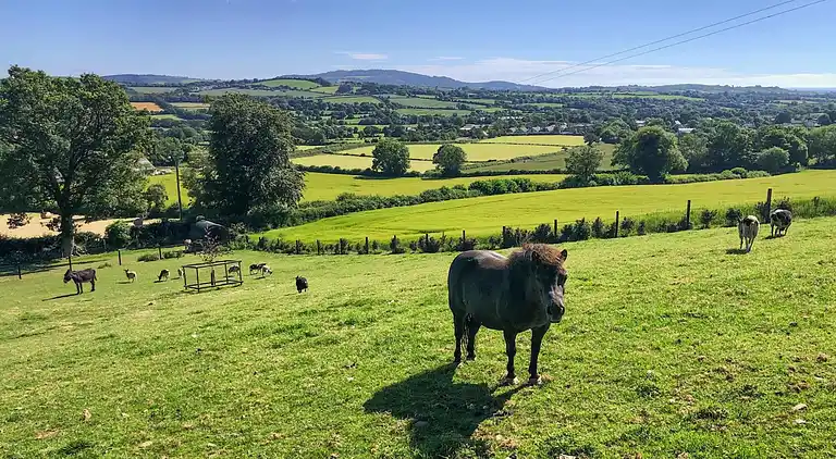 Sommerhus i Redcross