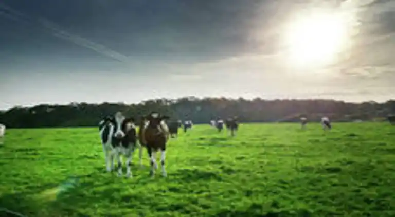 Semesterbostad i Haaksbergen