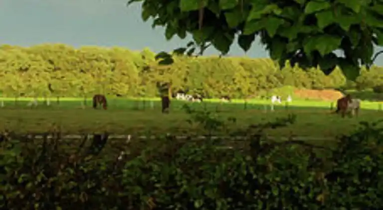 Semesterbostad i Haaksbergen