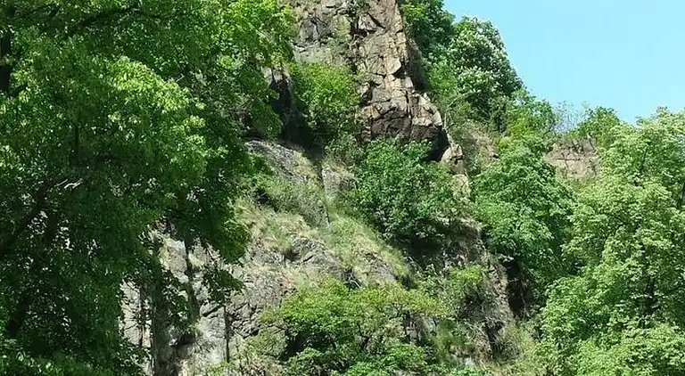 Apartment in Timmenrode