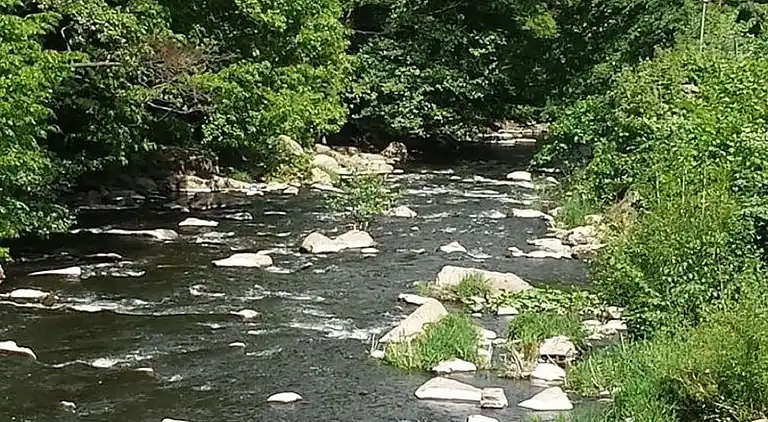 Apartment in Timmenrode