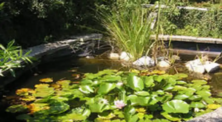 Ferielejlighed i Silbecke