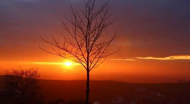 Ferielejlighed i Bischoffingen