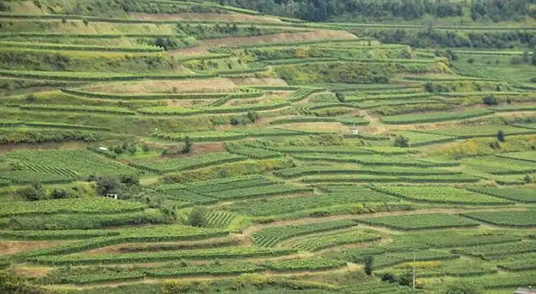 Ferielejlighed i Bischoffingen