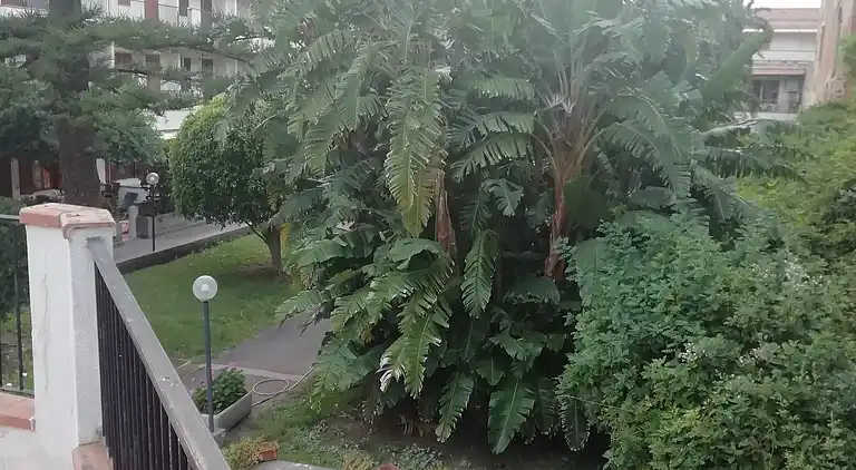 Sommerhus i San Giorgio