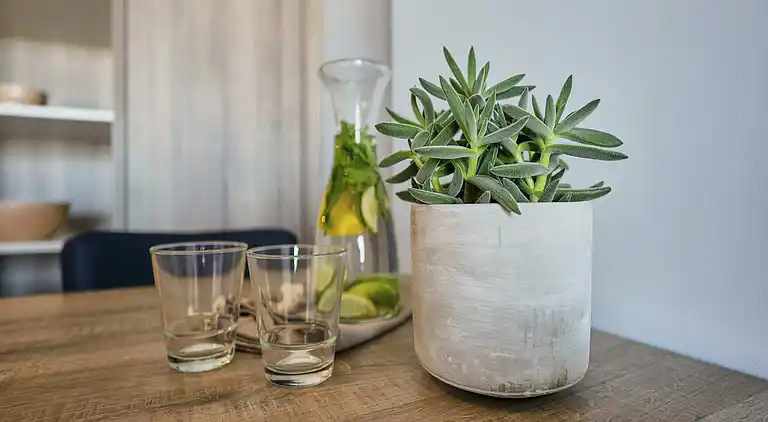 Ferielejlighed i Blankenberge