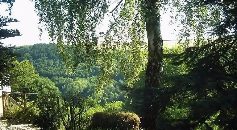 Herregård i Morscheid-Riedenburg