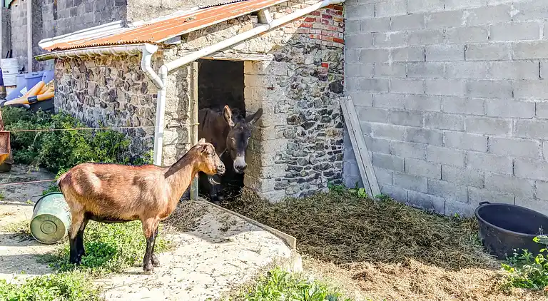 Ferienhaus in Courcy