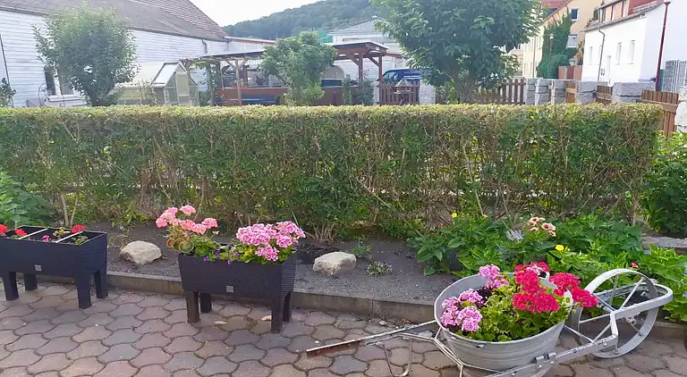 Ferienwohnung in Cotta