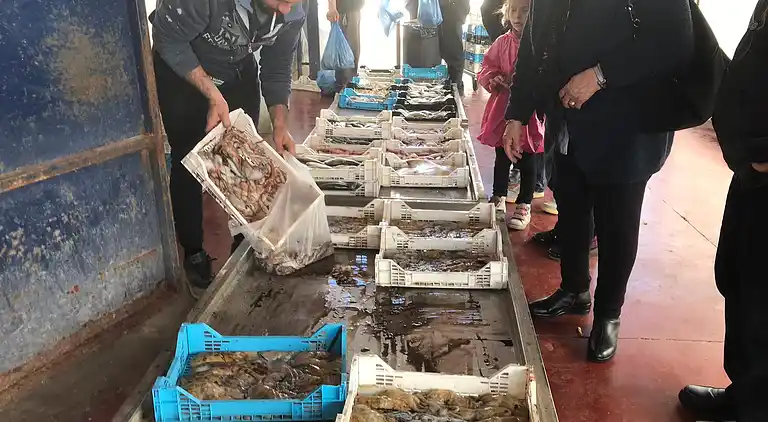 Casavacanzekastalia  in Athena Resort Ragusa