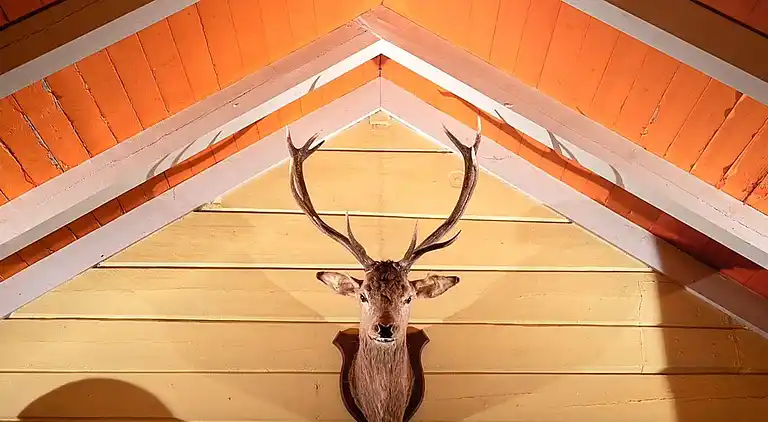 Maison de vacances au Stranda