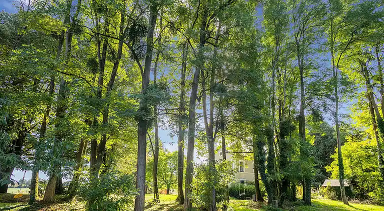 Herregård i Thollet