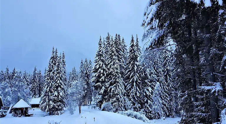 Cottage in Hohentauern