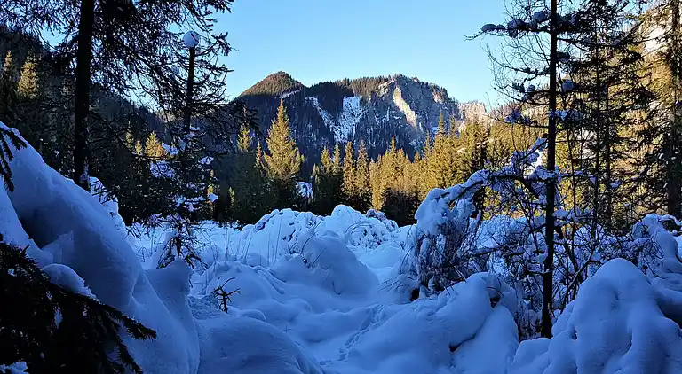 Cottage in Hohentauern