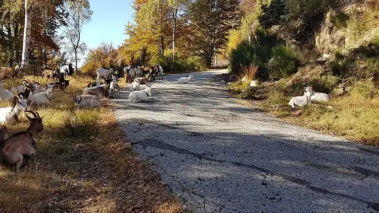 Ferielejlighed i Oggebbio