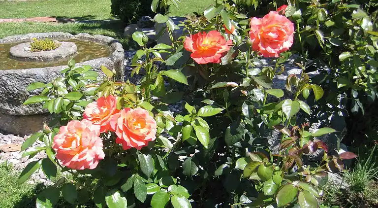 Ferielejlighed i Roncegno