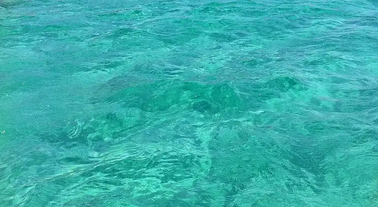 Exclusive apartment in an ancient villa facing the sea