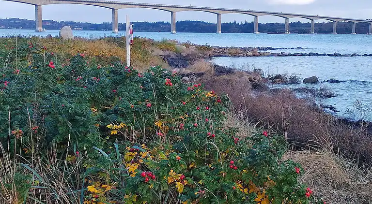 Holiday home in Øster Assels