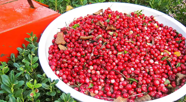 Holiday home in Rättvik Municipality
