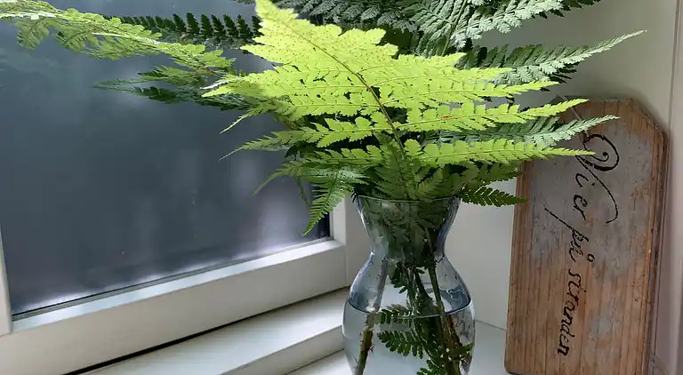 Sommerhus fra  2021, beliggende i første række til havet