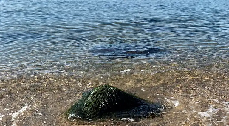 Sommerhus fra  2021, beliggende i første række til havet