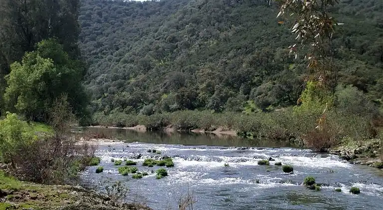 Indkvartering i afslappende område omgivet af natur