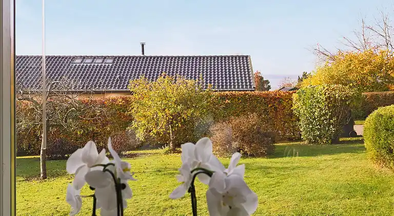 Sommerhus i Ølsted