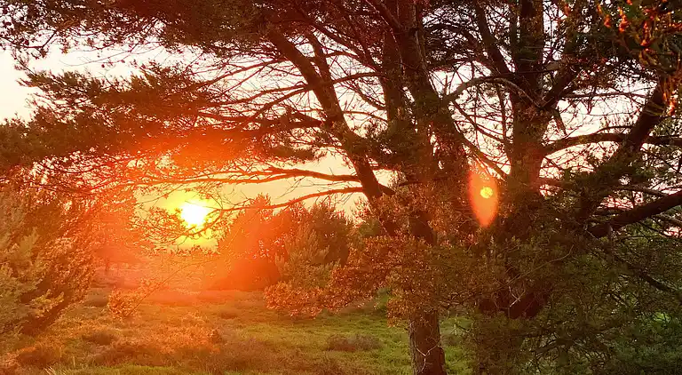 Holiday home on Læsø
