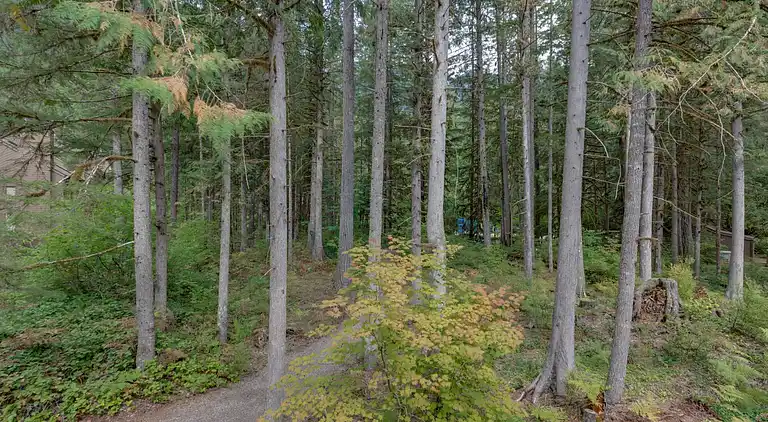 Mt. Baker Lodging Condo #23 - Sleeps 4!