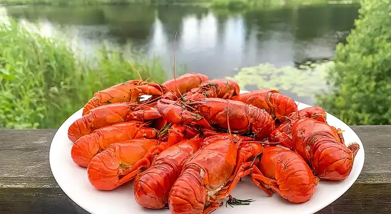 Sommerhus i Tingsryd NV