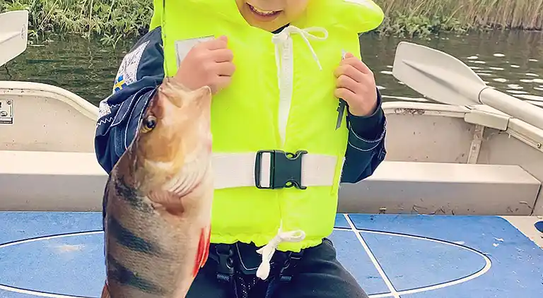 Sommerhus i Tingsryd NV