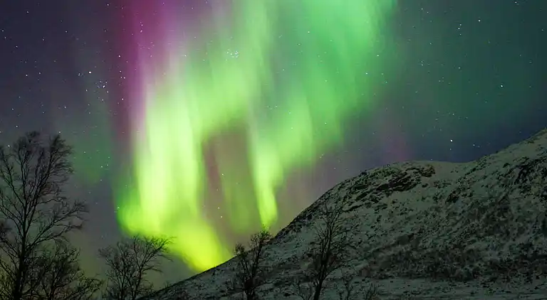 Semesterbostad i Straumsgård