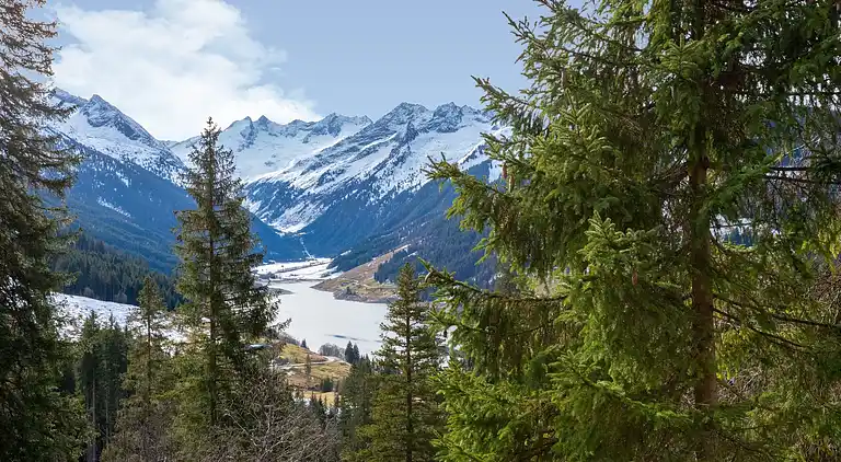 Ferielejlighed i Wald im Pinzgau