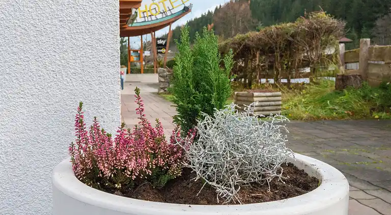 Ferielejlighed i Wald im Pinzgau