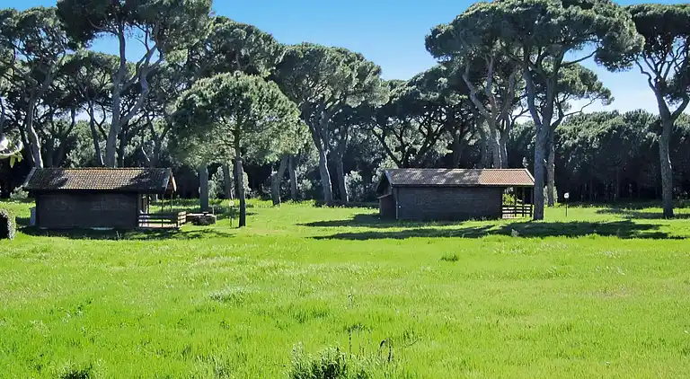 Holiday home in Grosseto