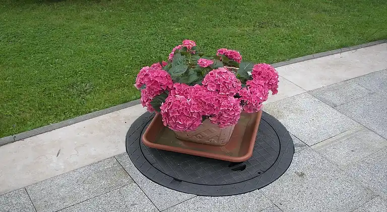 Ferienwohnung in Lichtenhain