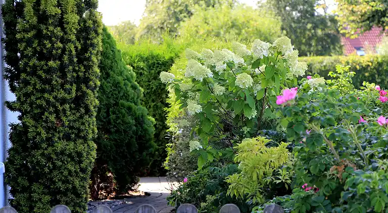 Apartment in Insel Poel