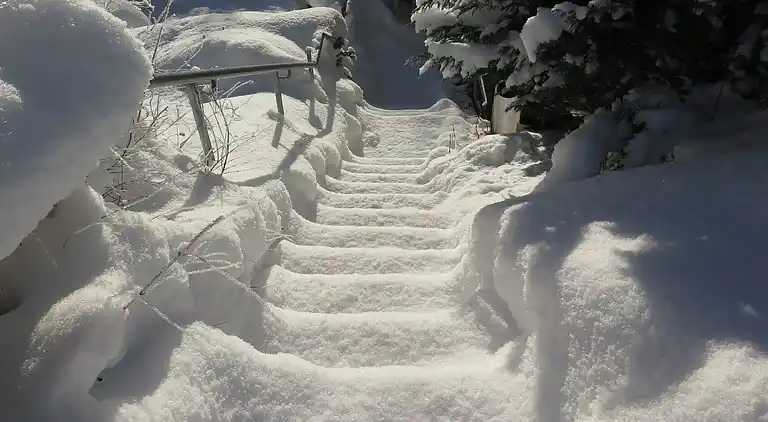 Vakantiehuis in Brigach