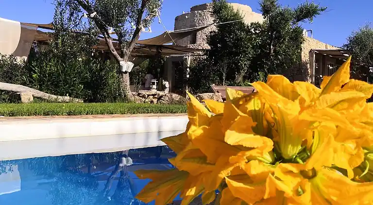 le dune del marchese. ARI