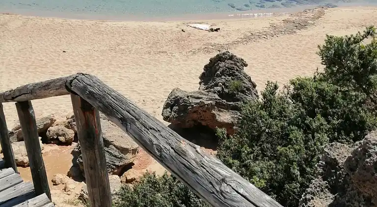 ledunedelmarchese. DADO