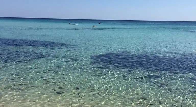 ledunedelmarchese. DADO